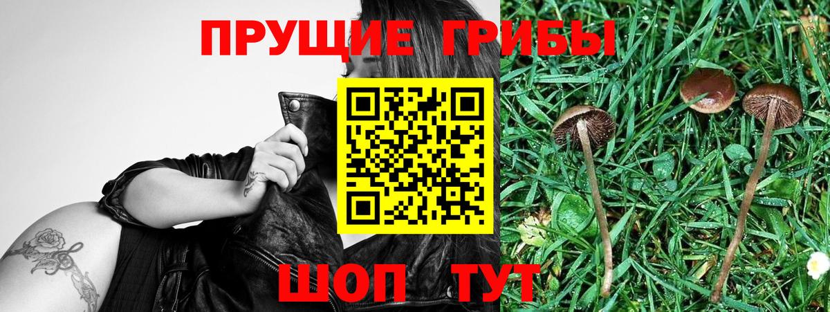 Меф МЯУ МЯУ  МДМА  ГАШ  NBOMe  Вход с VPN  Героин  Меф МЯУ МЯУ   ГАШИШ  Минеральные Воды  КОКАИН  LSD-25 