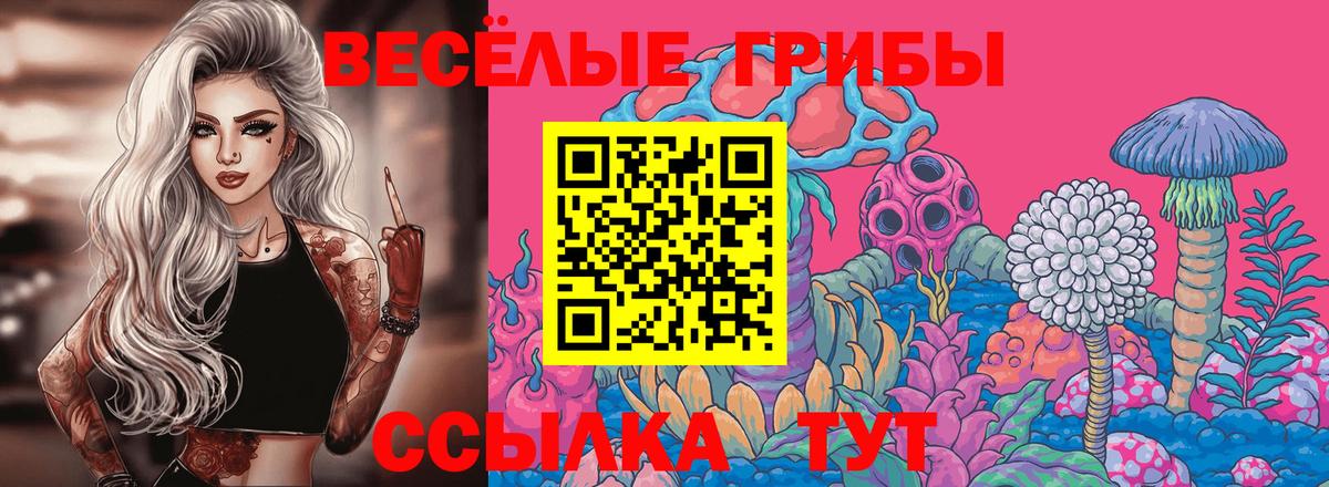 Псилоцибиновые грибы мицелий  Вход с VPN  Минеральные Воды 