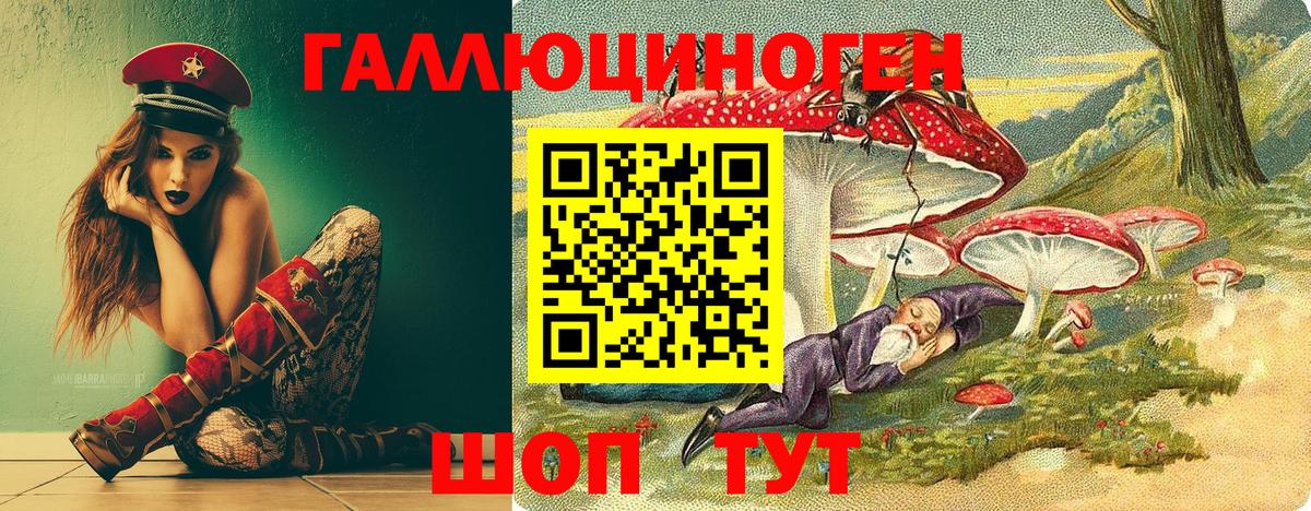 Псилоцибиновые грибы мухоморы Минеральные Воды